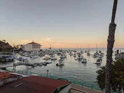 Avalon - Photo 4