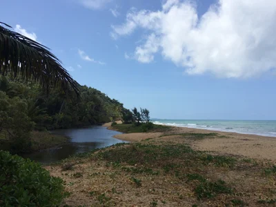Cassowary Coast Regional - Photo 2