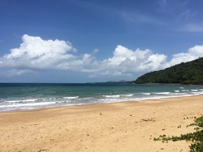 Cassowary Coast Regional - Photo 3