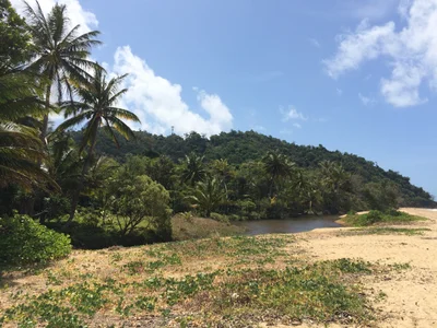 Cassowary Coast Regional - Photo 5