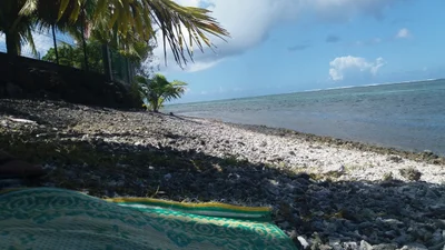 Papara - Photo 2
