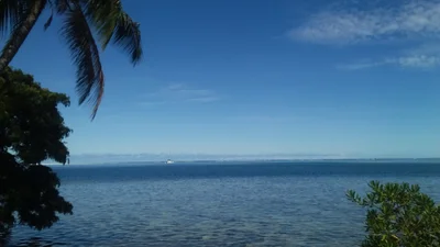 Papara - Photo 5
