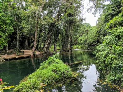 Rentapao - Photo 2