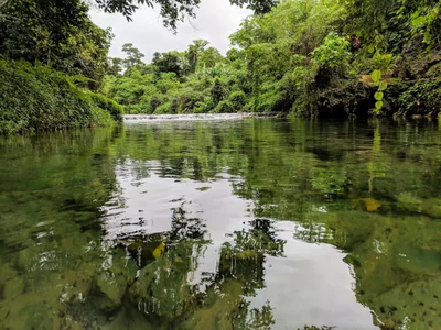Rentapao - Photo 4