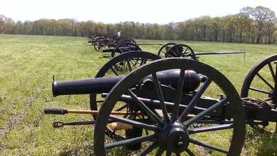 Shiloh - Photo 5