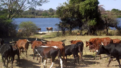 Rundu - Photo 3