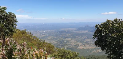 Mutasa - Photo 5
