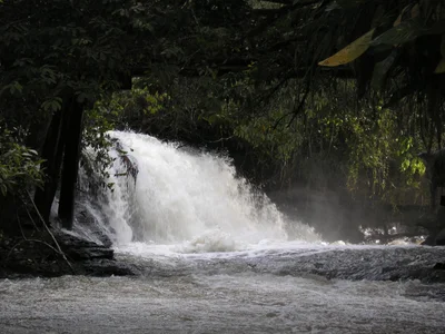 Costa Rica - Photo 4