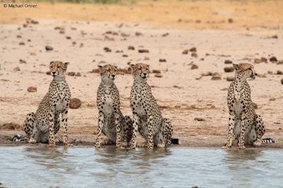 Hwange - Photo 2