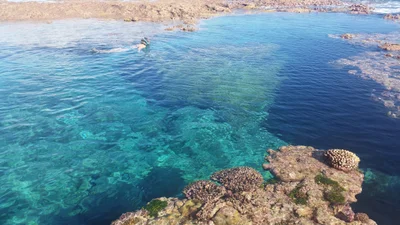 Tahileleki - Photo 4