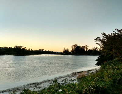 Everett - Photo 3