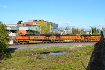Everett - Photo 4