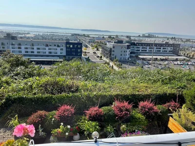 Everett - Photo 5