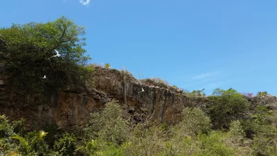 Marechal - Photo 5