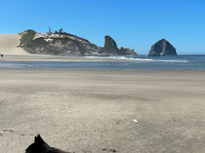 Lincoln City - Photo 4