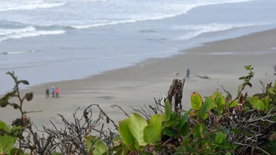 Lincoln City - Photo 5