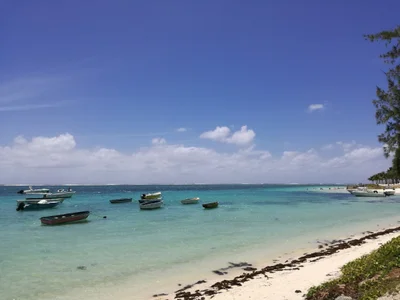Quatre Cocos VCA - Photo 5