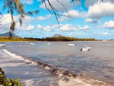 Le Morne Anglers' Club - Photo 4