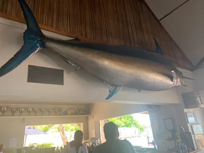 Le Morne Anglers' Club - Photo 5