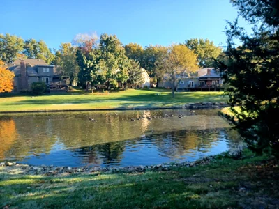 Overland Park - Photo 5