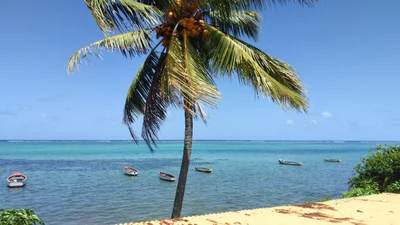 Bel Ombre VCA - Photo 3