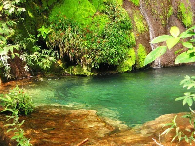 Bodoquena - Photo 5