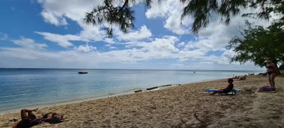 Le Morne VCA - Photo 3