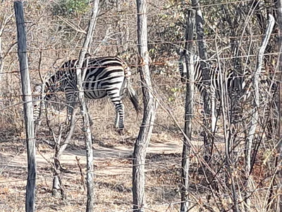 Matobo - Photo 3