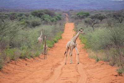 Waterberg Plateau Park - Photo 3