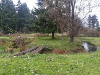 Vashon - Photo 4