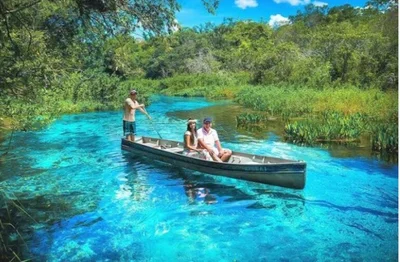 Bonito - Photo 4