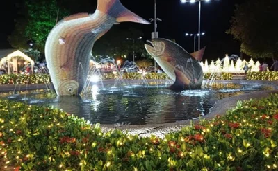 Bonito - Photo 5