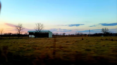 Davis - Photo 4