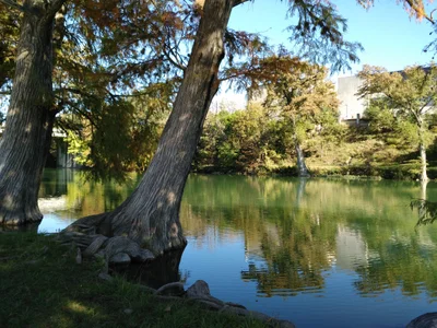 Kerrville - Photo 2