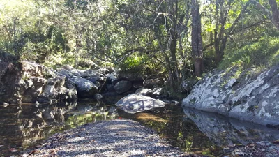 Sentier du plateau de Dogny - Photo 3