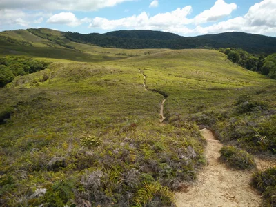 Sentier du plateau de Dogny - Photo 4