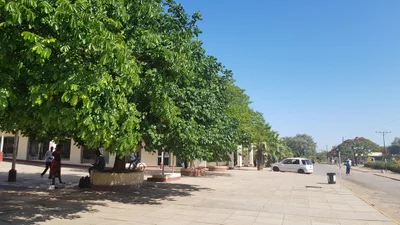 Chiredzi - Photo 4