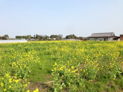 Shimotsuke - Photo 3