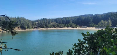Coos Bay - Photo 5