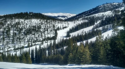 Winter Park - Photo 3