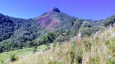 Alagoa - Photo 2