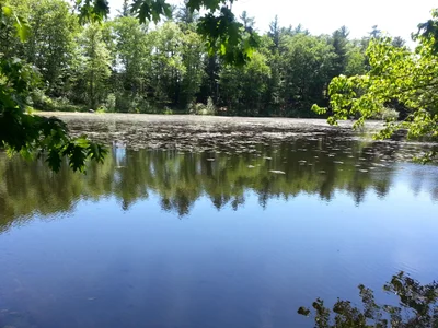 Nashua - Photo 3