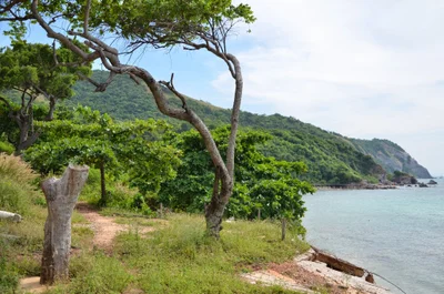 Ko Lanta - Photo 5
