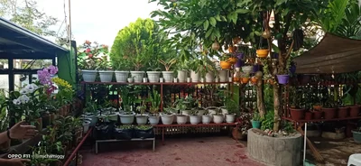 San Jose del Monte - Photo 2