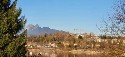 Maple Ridge - Photo 4
