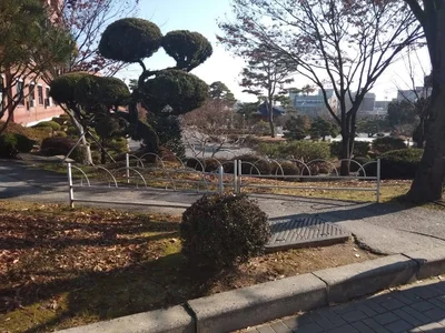 Nonsan-si - Photo 4