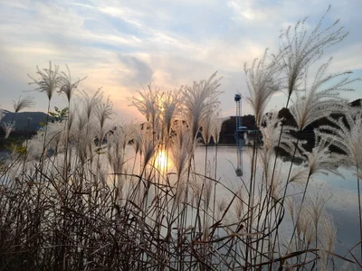 Seongnam-si - Photo 3