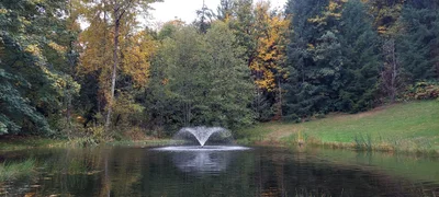 Federal Way - Photo 2