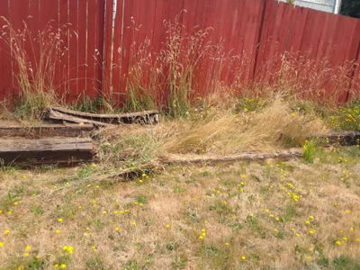 Federal Way - Photo 3
