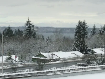 Federal Way - Photo 5